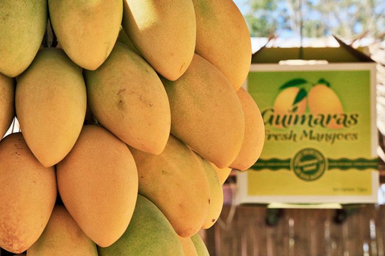 Guimaras