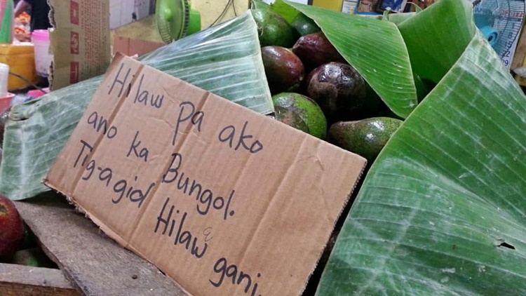 Avocados