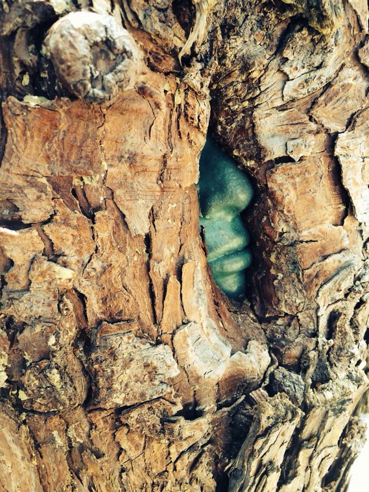 Trees