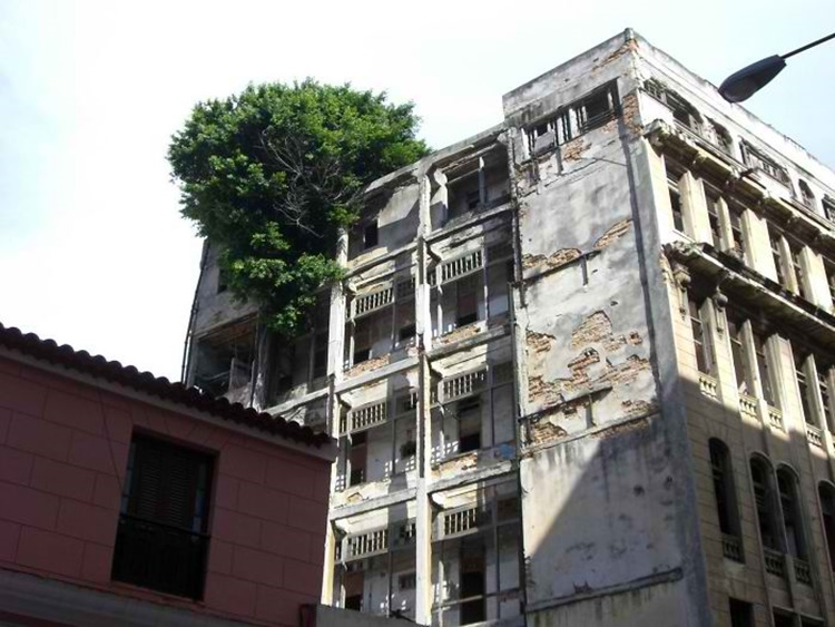 Trees