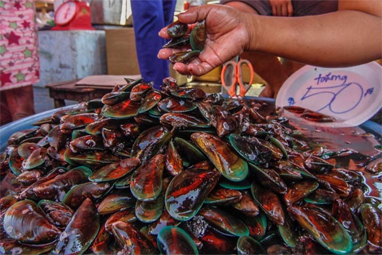 Shellfish