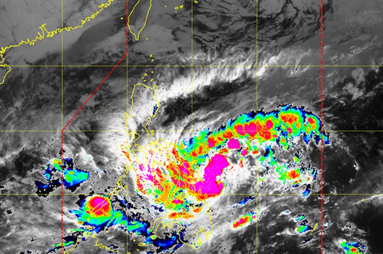 Tropical Cyclone Signal