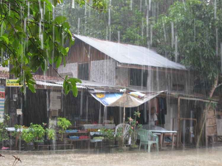 Tropical Cyclone Signal