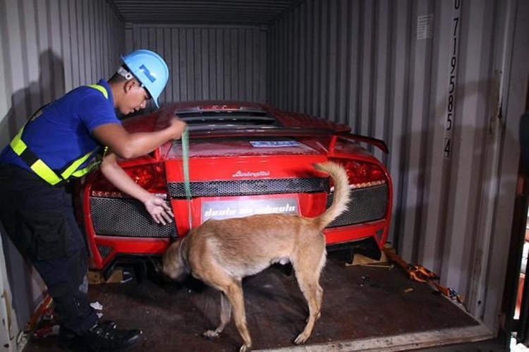 Smuggled Luxury Cars