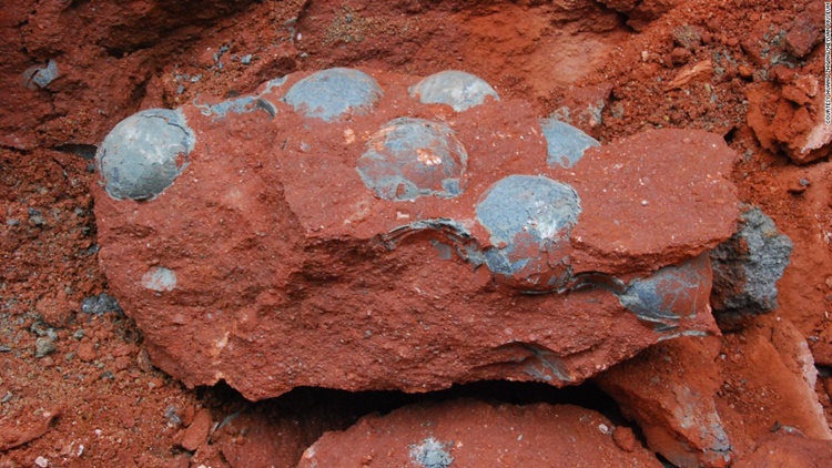 glass dinosaur eggs