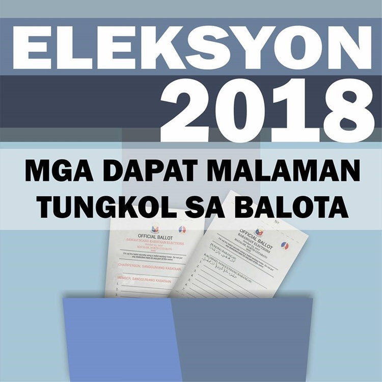 Voting Guidelines