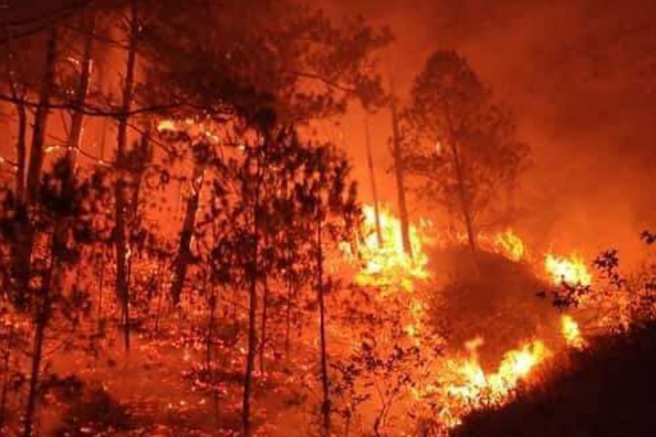 Italy Forest Fires