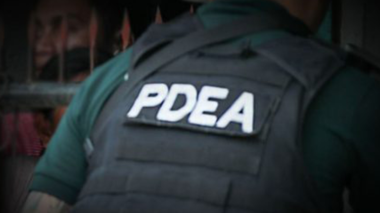 Drug Den Run By A Year Old In Bohol Raided By Pdea