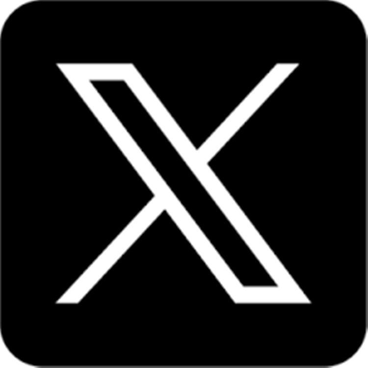 x logo