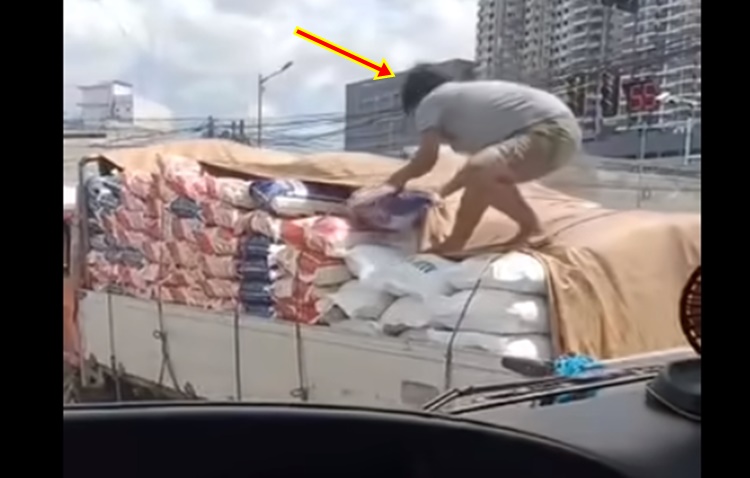 Male Thief
