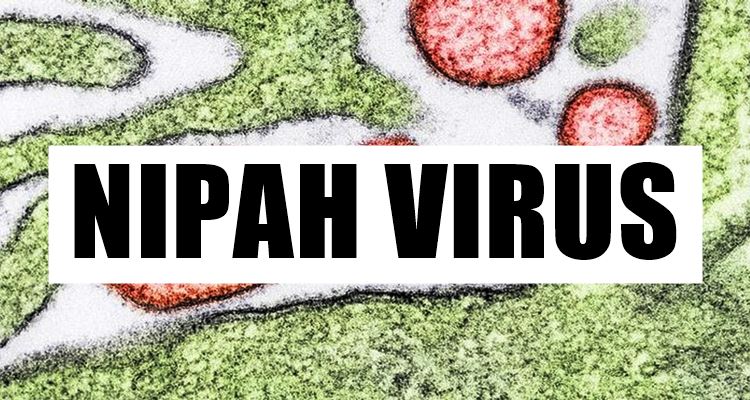 Nipah Virus