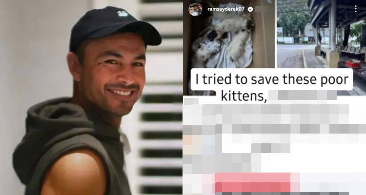 Derek Ramsay Criticized For Saving Kittens, Actor Reacts