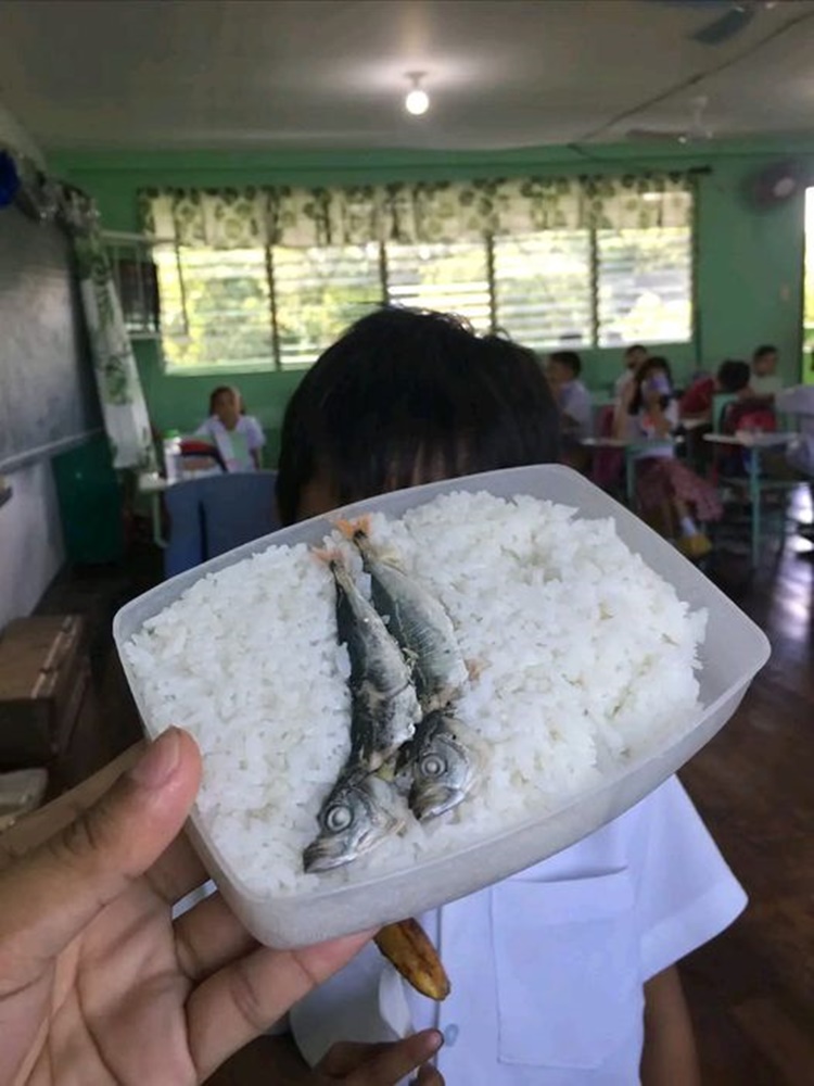 Bacolod Student