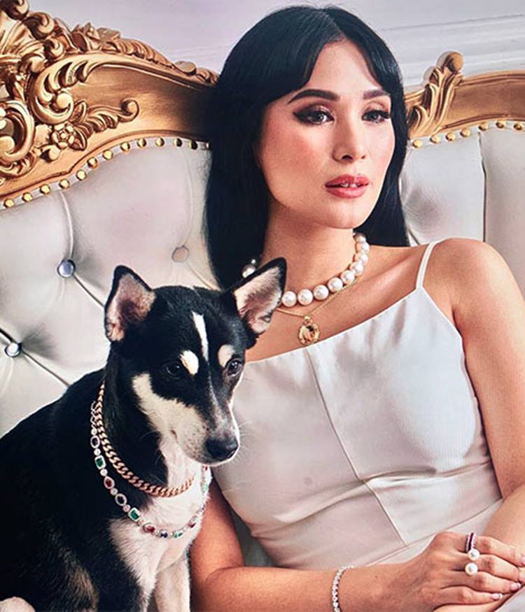 Heart Evangelista Dog Wearing Bvlgari Necklace Endorsed By Pia Wurtzbach