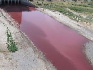 Texas Lake turns bloody red