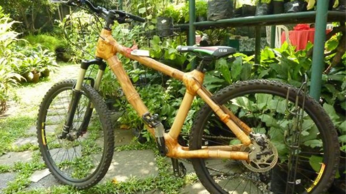 bamboo bike price