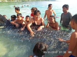 Whale Shark (Butanding) Photos Viral