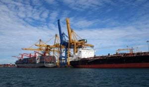 Customs Board Exam Results