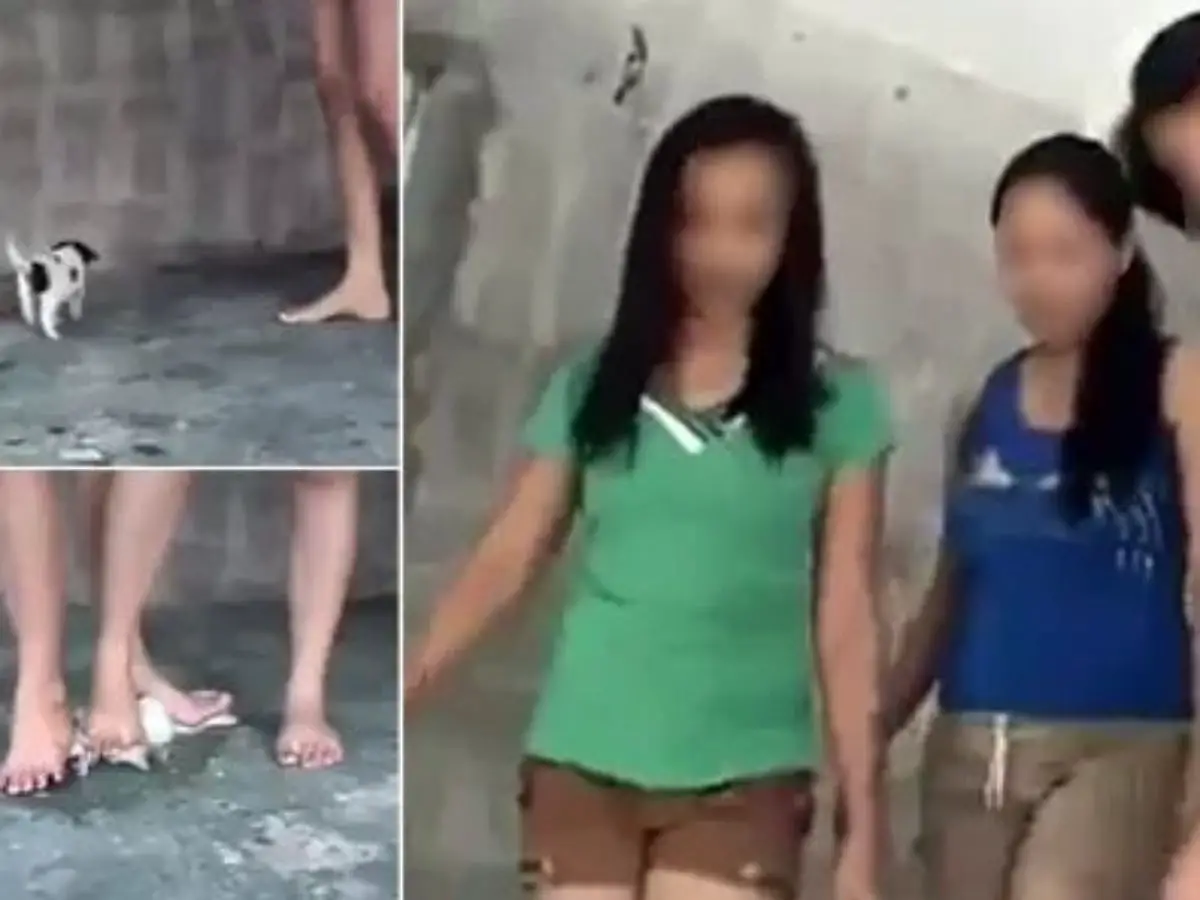 Crush Video: Search is on for Three Girls Maltreating Puppy - Philippine  News