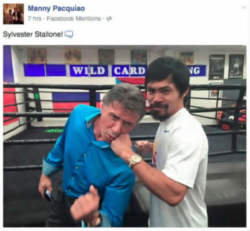 stallone