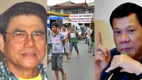 flores de pusher Mayor halili