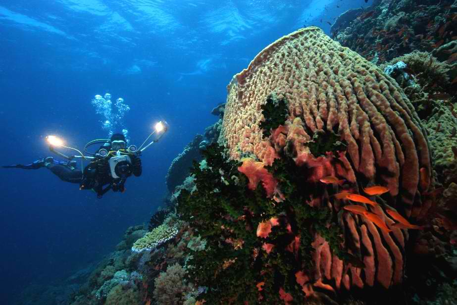 Philippines Named by DRT as "The Most Popular Diving Destination of