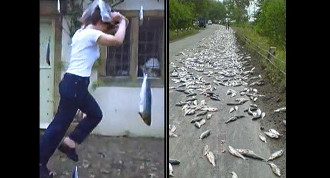 lluvia-de-peces-or-fish-rain-in-yoro-honduras-is-a-miracle-of-faith