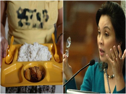 Senator Legarda Budget Proposal