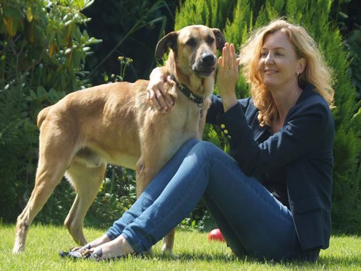 Flight Attendant and the dog 1