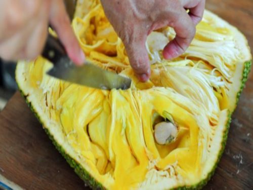 Jackfruit Amazing Health Benefits