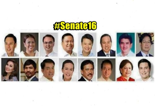 16 Senators Who Voted