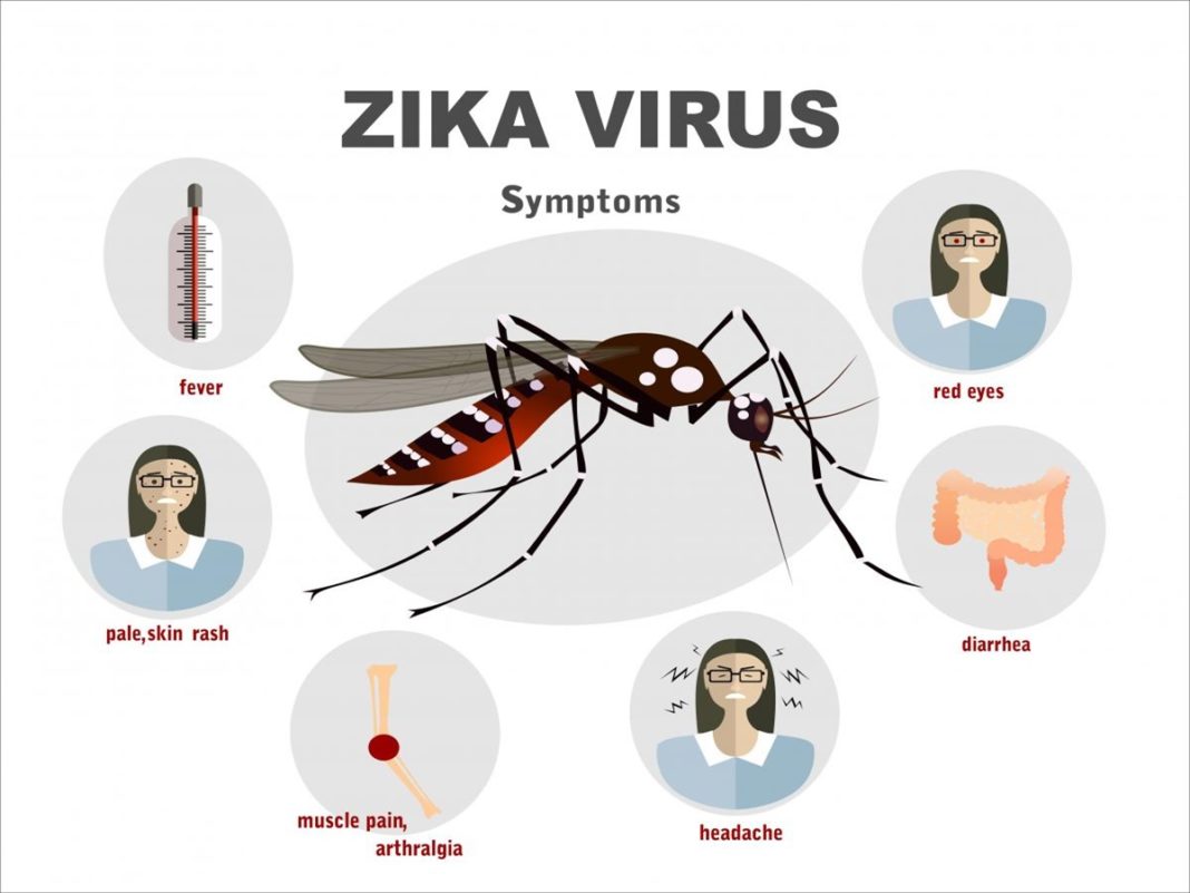 Zika Virus Early Signs And Symptoms When Someone Is Infected