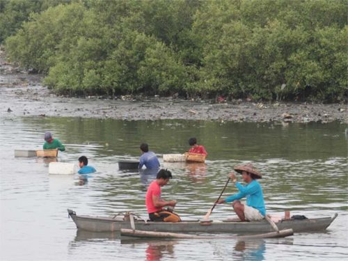 Red Tide Alert Still Up In 5 Eastern Visayas Bays