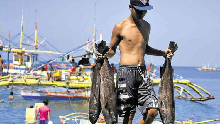 Why Do Filipino Fishermen Keep Going Back To Scarborough Shoal?