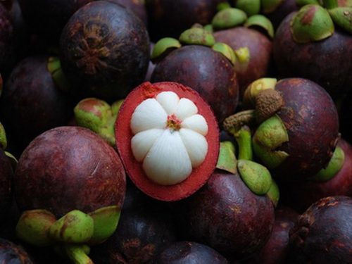 Mangosteen