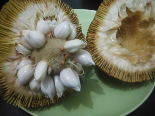 Marang Fruit
