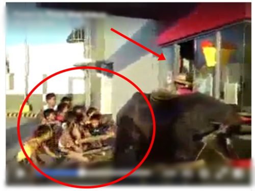 Carabao Ordering Foods At A Fast Food Drive-Thru Went viral
