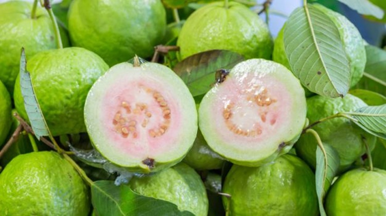 Surprisingly Brilliant Benefits Of Guava To The Body