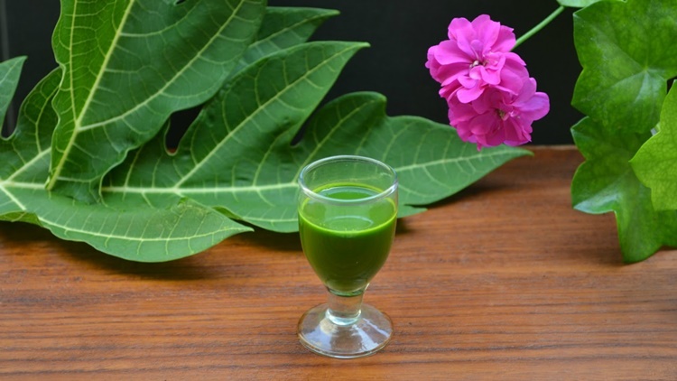 Papaya Leaf Juice