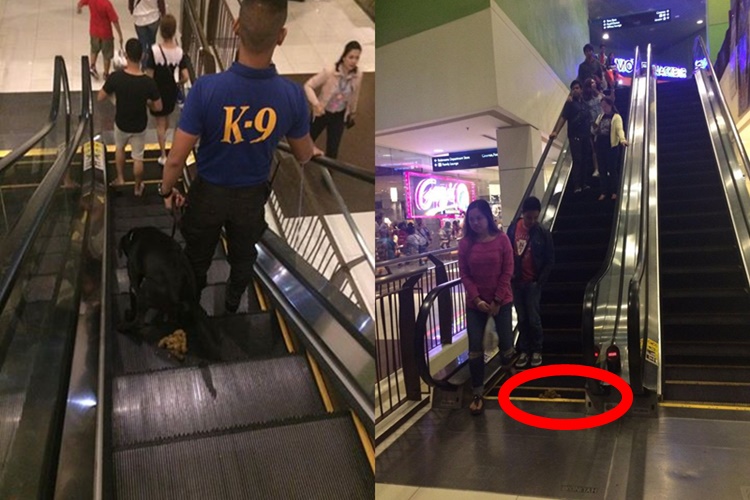 Netizen Share Photos Of K-9 Dog Taking A Dump On Escalator Goes Viral