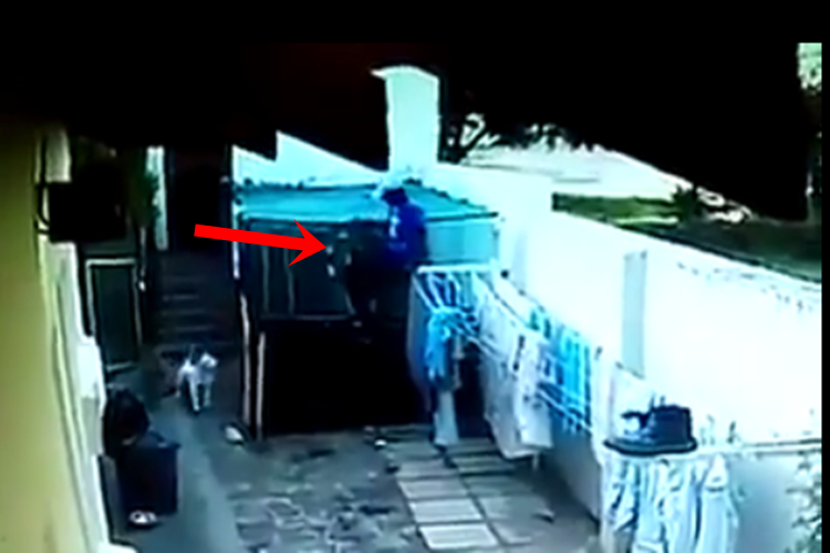 Viral: Pinoy Thief Gets Brutally Attacked By Guard Dogs Caught On Video