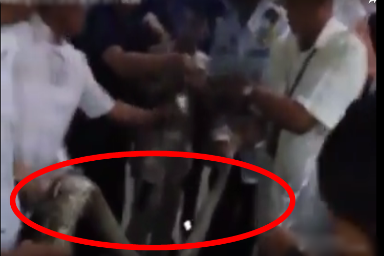 Viral: Giant Snake Captured in SM City Cebu Caught On Video