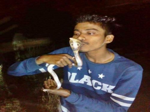 Indian Snake Catcher