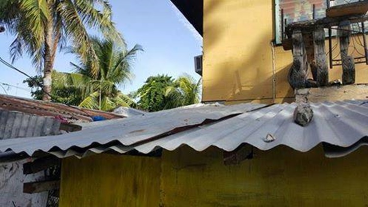 Stealing Electricity