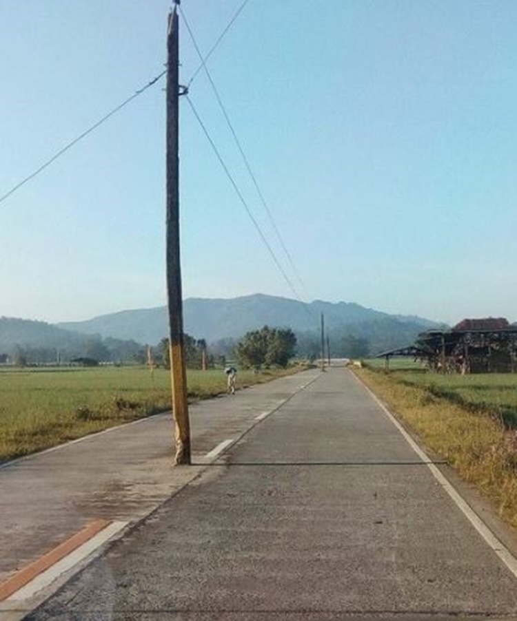 Road Infrastructures