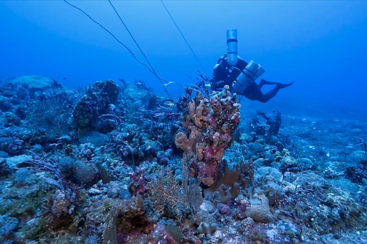 Government Scheduled Benham Rise Expedition On 2018