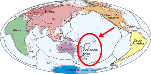 “Zealandia”