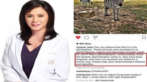Vicki Belo