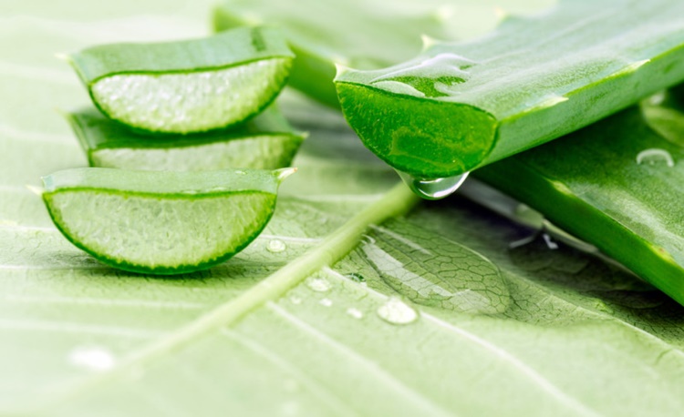 Whitens Skin Faster By Mixing Aloe Vera With These Home Ingredients