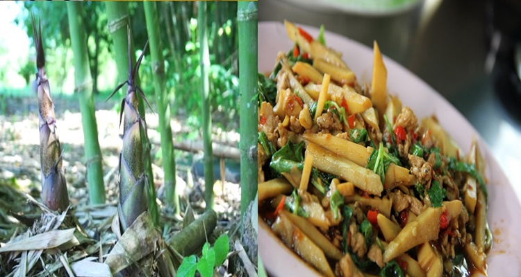 Amazing Health Benefits Of Eating Bamboo Shoots (Lambong)